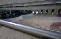 Halı Yıkama Fiyatları nı belirleyen faktörler